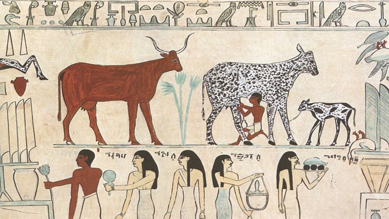 Datei:Egyptian Domesticated Animals.jpg