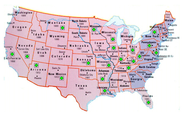 Gigantus simplex.jpg