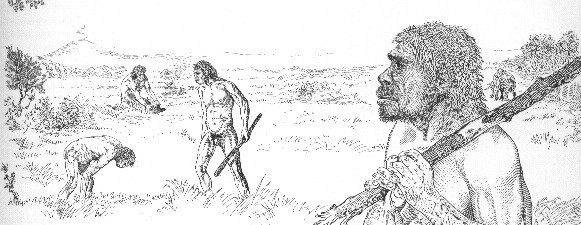 Datei:Homo sapiens.jpg