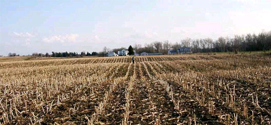 Indiana Riesen 3.jpg