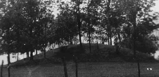 Indiana Riesen 4.jpg