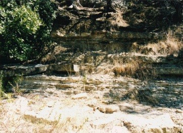 Datei:Paluxy River.jpg