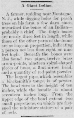 Datei:Somerset Herald, July 28, 1880.jpg