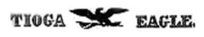 Tioga Eagle.jpg