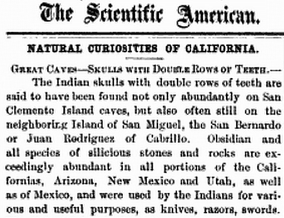 Datei:Vieiranewman1 html m6da326d3.jpg