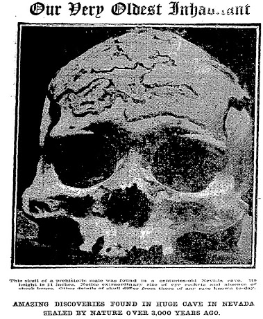 WA POST NOV. 29, 1914 Pg. MS2 Giant Lovelock Skull 11 inches..jpg