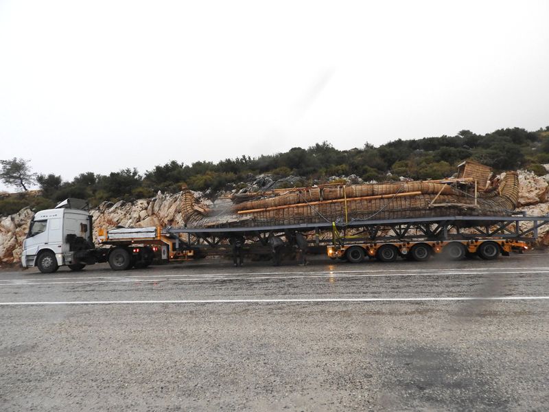 Datei:4 ABORA Patara.jpg